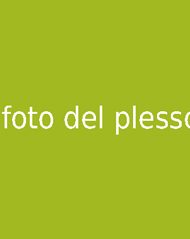 foto del plesso